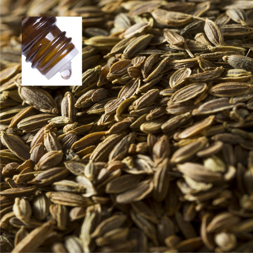 Dill Seed Pure Essential Oil