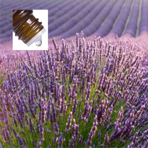 Lavandin Grosso France Pure Essential Oil