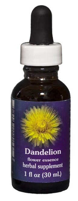 Dandelion 1 oz. Flower Essence