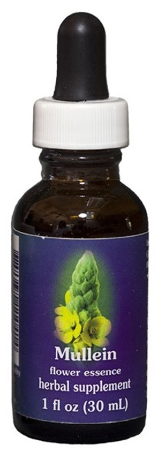 Mullein 1 oz. Flower Essence