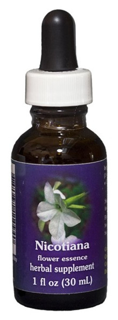 Nicotiana 1 oz. Flower Essence