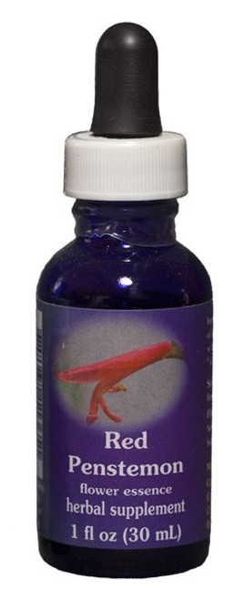 Red Penstemon 1 oz. Flower Essence