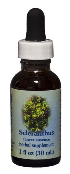 Scleranthus 1 oz. Flower Essence