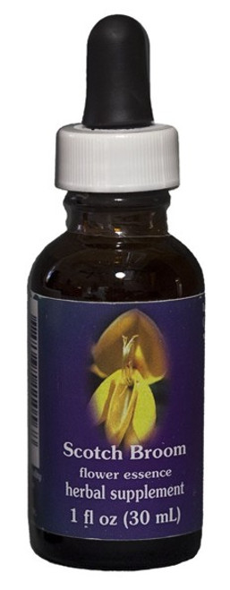 Scotch Broom 1 oz. Flower Essence