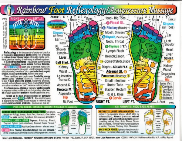 Reflexology Foot Laminated Chart 8.5 x 11"