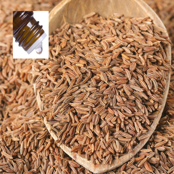 Caraway Seed Pure Essential Oil