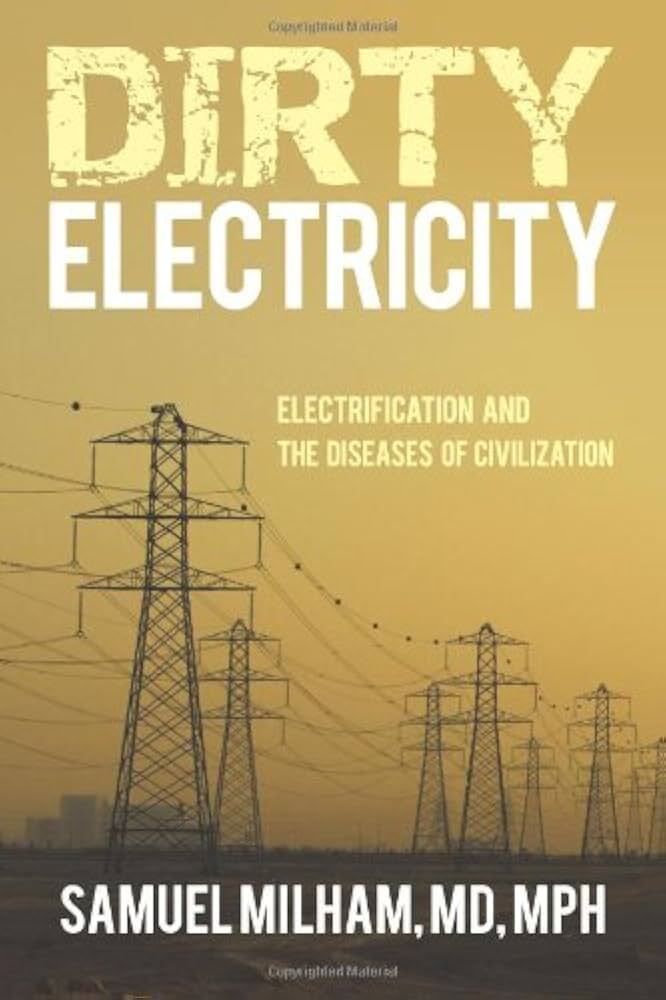 dirty-electricity-book.jpg