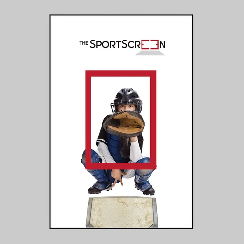 SportScreen Baseball Target