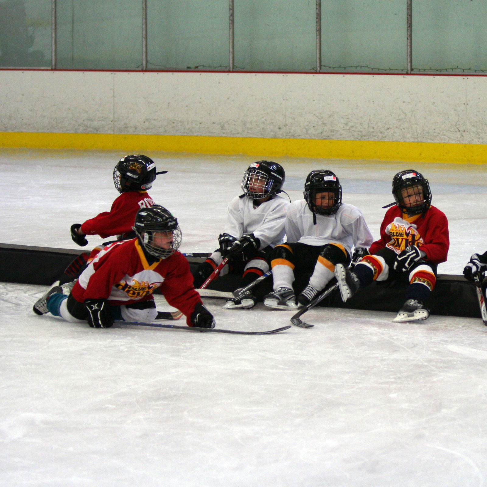 Foam xDividers xHockeyProducts.com USA