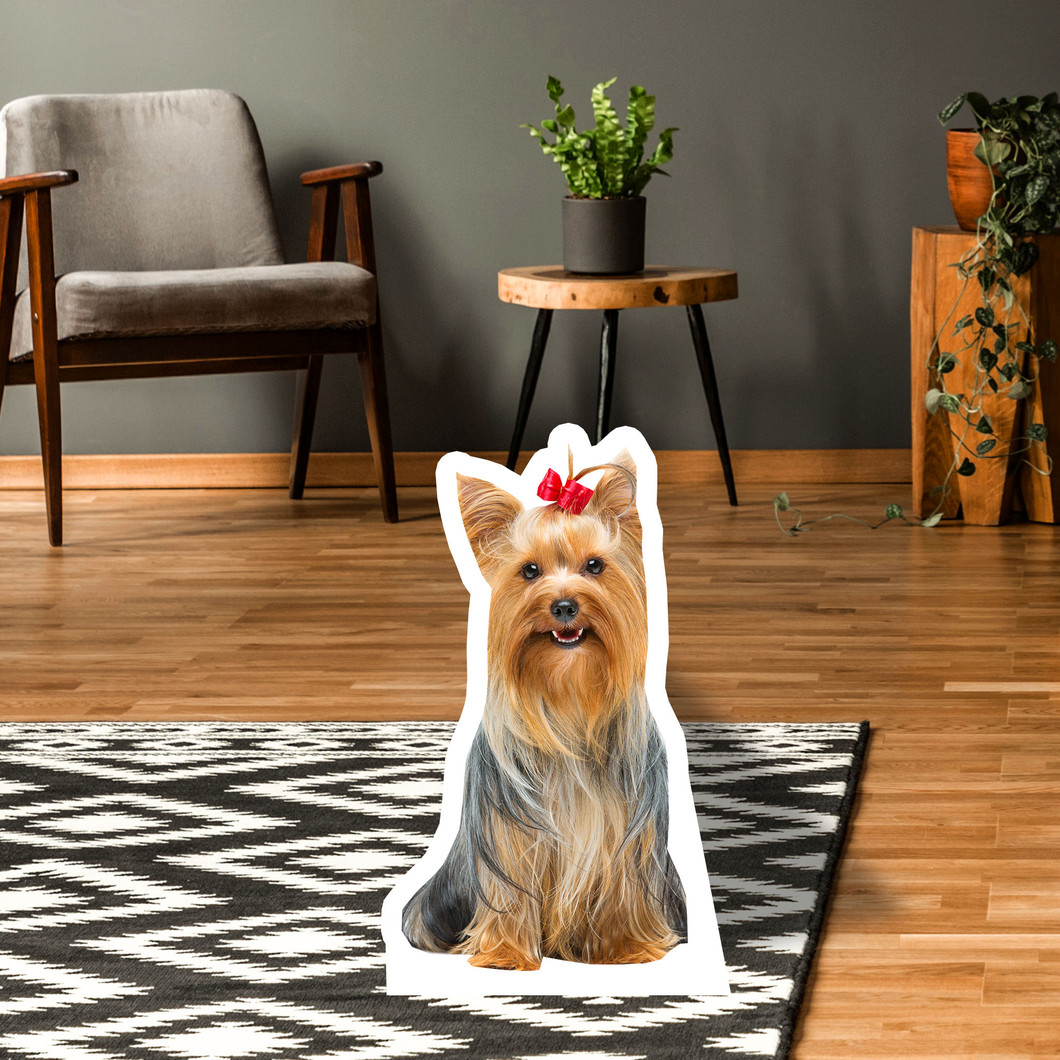 Yorkshire Terrier Standup