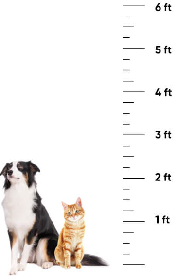 Height reference