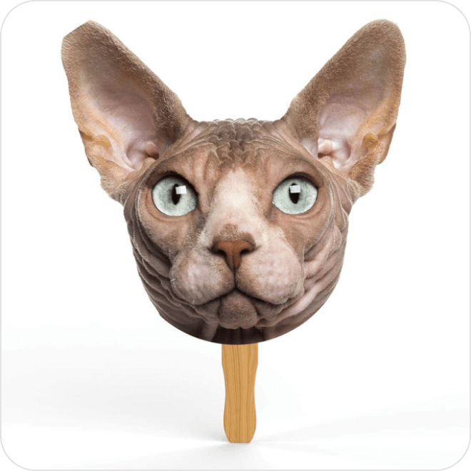 Sphynx