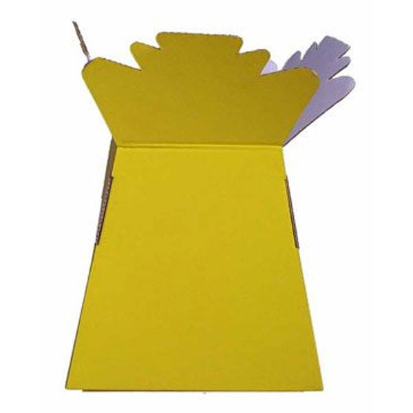 Living Vase Flower Bouquet Delivery Boxes Yellow