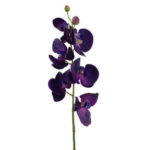 Orchid Stem Latex 75cm Purple