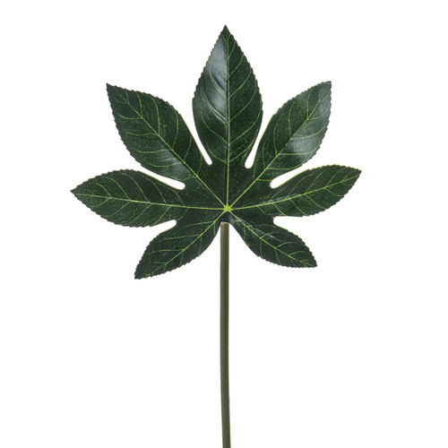 Single Aralia Leaves x4