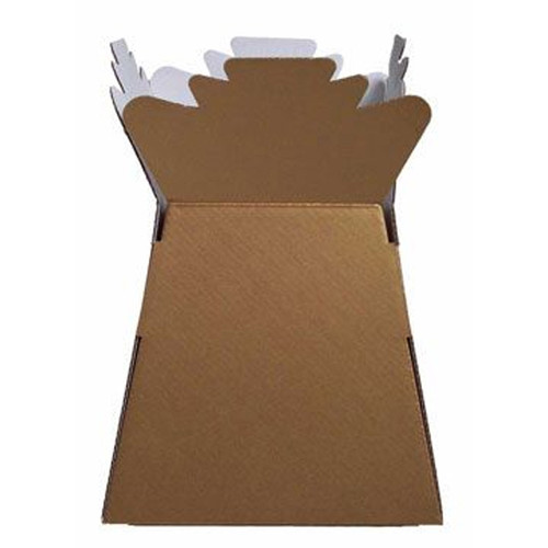 Living Vase Flower Bouquet Delivery Boxes - Gold