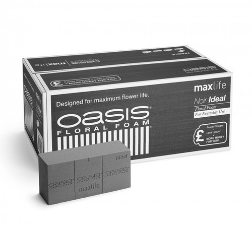 Oasis® Noir Ideal Foam Brick