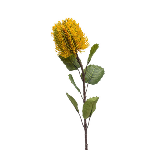 Banksia Artificial Single Flower Stem 57cm Yellow