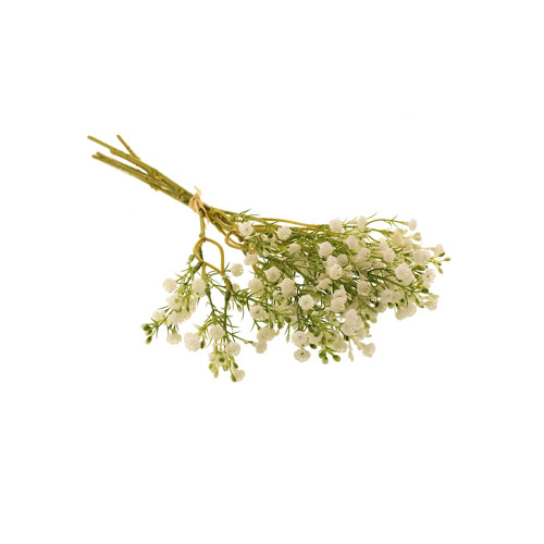 Gypsophila Flamingo or Baby's Breath White