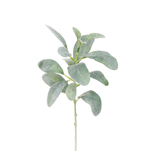 Pack of 3 Short Lambs Ear Stems