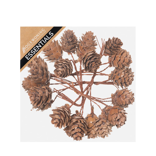 Box of 35 Small Natural Alder Cones on Wires