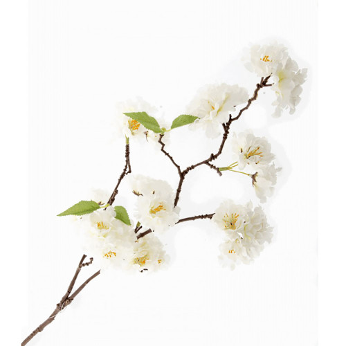 Artificial Silk Japanese Cherry Blossom Cream