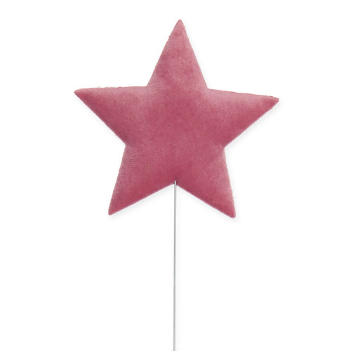 Velvet Star Light Berry Velvet Star Light Berry