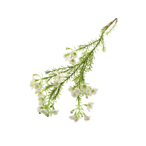 Faux Silk Waxflower Spray White