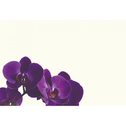 Florist Gift Cards Purple Orchid 9cm x 6cm Pack of 50