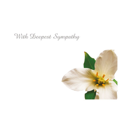 Gift cards "With Deepest Sympathy"