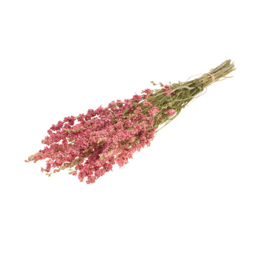 Dried Bunch Natural Delphinium Pink