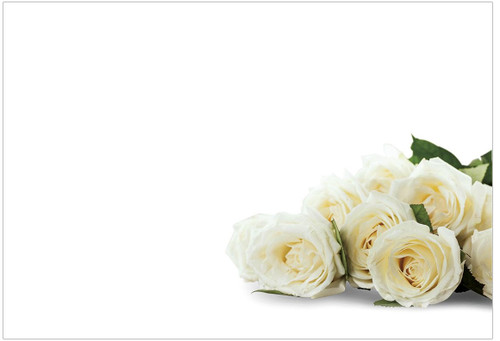 Plain White Roses Florist's Cards