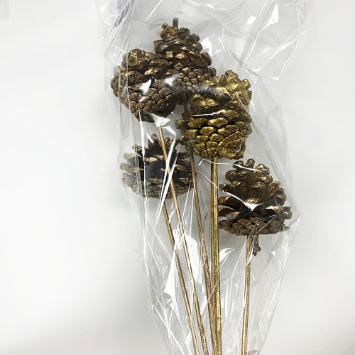 Natural Pine Cones on Stems Gold