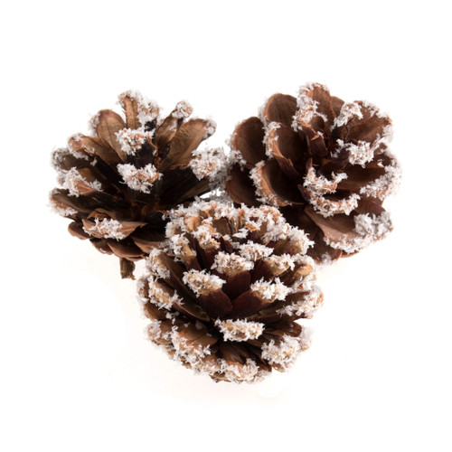 Frosted Natural Pine Cones