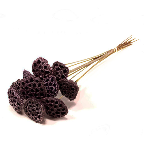 Natural Dried Lotus Head Stick Stem Posy Natural Dried Lotus Head Stick Stem Posy