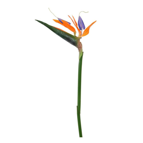 Artificial Bird of Paradise or Strelitzia Flower