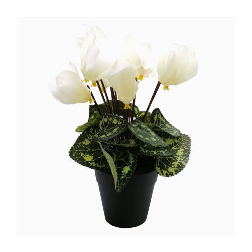 Faux Silk Cream Cyclamen Bush in Pot
