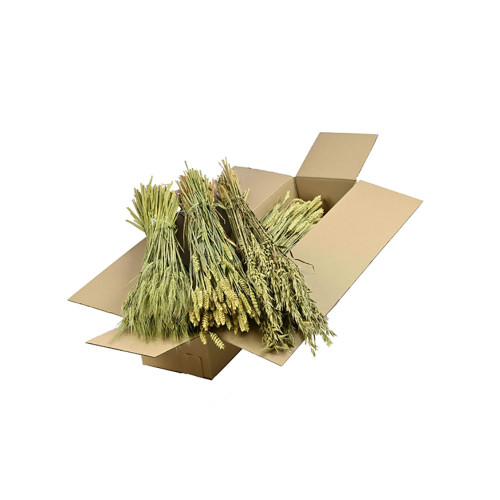 Assorted Dried Natural Grasses