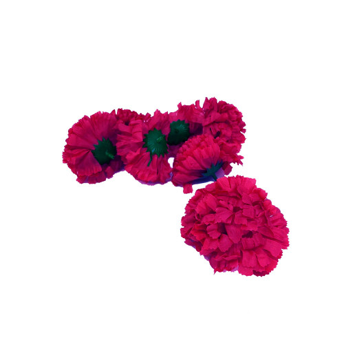 carnation heads maroon
