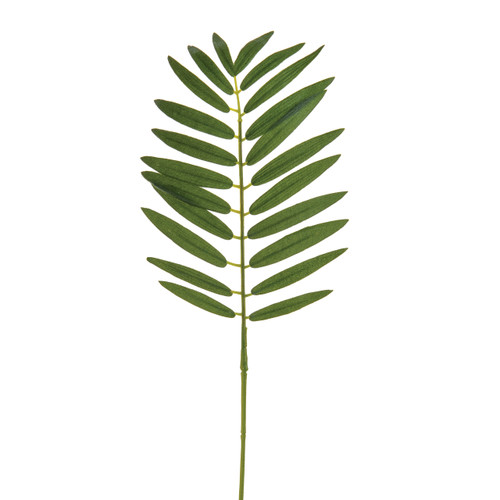 Single Palm Fern Leaves x 6
