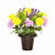 Grave Pot Grave Pot Rose Allium 25cm Yellow