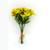 Alstroemeria Bundle Yellow 33cm x 5 Stems