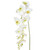 Orchid Phalaenopsis Artificial Silk Trailing 130cm White