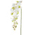 Orchid Phalaenopsis Artificial Silk Trailing 98cm White