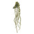 Hanging Artificial Amaranthus 65cm Green