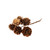 Pack of 36 Natural Mini Pine Cones on Wires