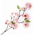 Artificial Silk Japanese Cherry Blossom Light Pink