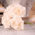 Large Foam Rose Bundle Ivory detail