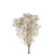 Preserved Dried Gypsophila Dusty White