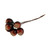 Pack of 30 Brown Horse Chestnuts Conkers on Wires
